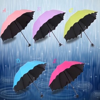 Dù nở hoa anh đào khi gặp nước nở hoa rất đẹp , ô dù che nắng ,bảo vệ da khỏi tia UV dù sẽ trở nên sinh động và đáng yêu
