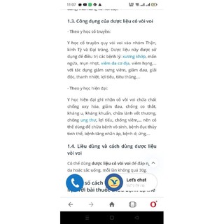Cây Vòi Voi Khô/tươi