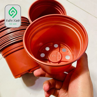 Chậu nhựa nâu 105*80 Chậu nhựa nâu Vành miệng cứng 105x80 mm trồng cây, ươm cây