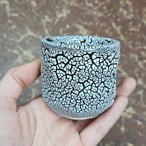 Chậu trồng cây: men lạnh 6