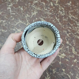 Chậu trồng cây: men lạnh 6