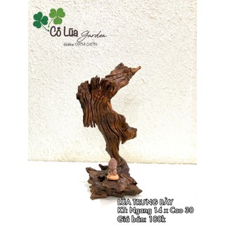 Gỗ lũa trưng bày