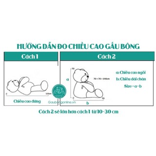 Mèo lười CHOCO
