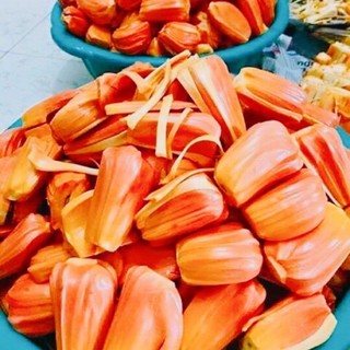 Cây Giống Mít Ruột đỏ Malaysia
