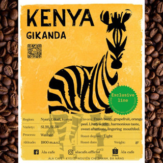 Cà phê Specialty Kenya Gikanda Neyri AA 200g rang lightpha pour/espresso