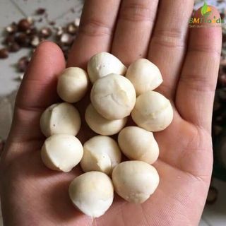 Nhân hạt macca đắk lắk thơm ngon đã sấy ăn ngay bmt foods 250g