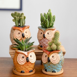 Chậu Trồng Cây Mini Gốm Sứ Hình Chim Cú Thích Hợp Trồng Sen Đá Xương Rồng Chậu Men  Trồng Cây Trang Trí Bàn Làm Việc