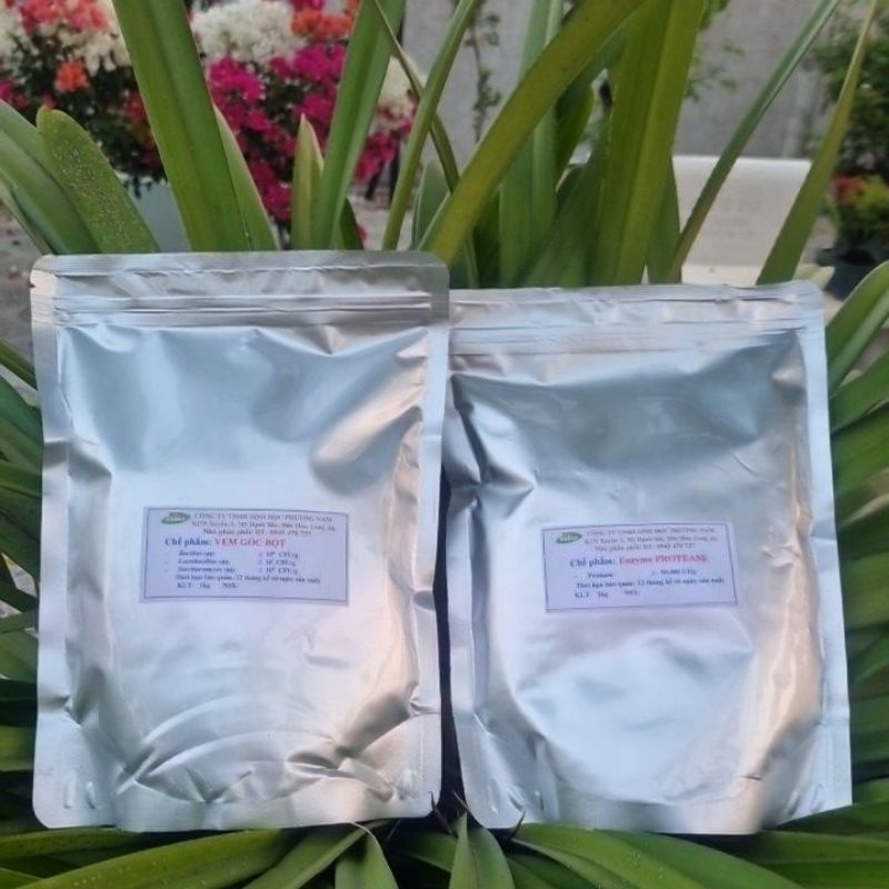 Men vi sinh ủ đạm cá (bộ gồm 1 ký Vem Phương Nam và 1 ký Enzyme Protease)