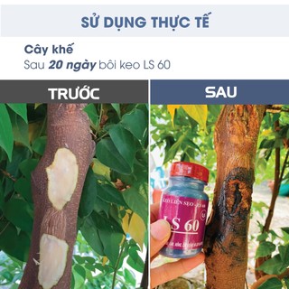 LS60 100gr - Keo liền sẹo, keo liền da cây da cây mai vàng, bonsai, cây cảnh , ăn trái nhanh, chất lượng