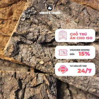 Cork bark, gỗ sồi, vỏ bần cho isopods, bọ cạp, nhện