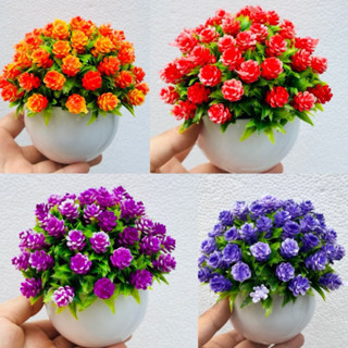 Chậu hoa baby để bàn dáng tròn size nhỏ,trang trí ,decor siêu đẹp