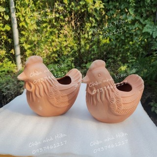 Chậu đất nung - chậu gà mái