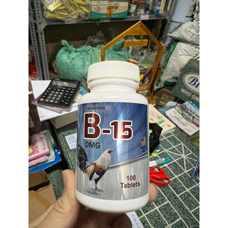 B15 dành cho gà đá lọ (100v)