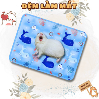 Thảm mát cho Bọ Ú (Chuột Lang) Hamster Thỏ Cảnh Chó Mèo, đệm nước làm mát cho thú cưng