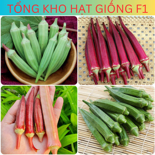 Hạt giống đậu bắp xanh, đậu bắp đỏ chuẩn f1