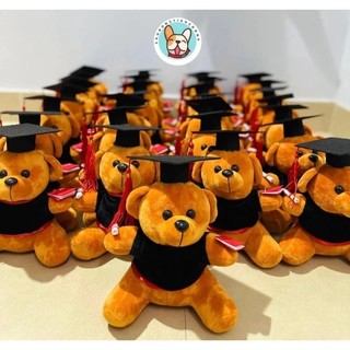 Gấu cử nhân, quà tặng tốt nghiệp size 25cm.