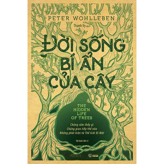 Sách - đời sống bí ẩn của cây