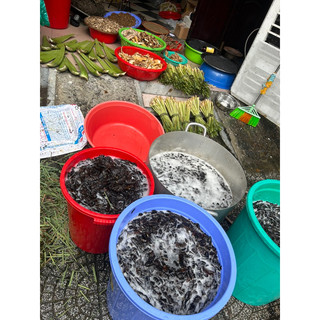 Dầu gội thảo mộc Cung Đình chai 1lit