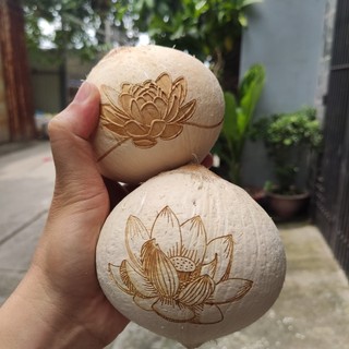 Dừa Xiêm Khắc Hoa Sen