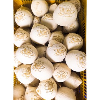 Dừa Xiêm Khắc Hoa Sen