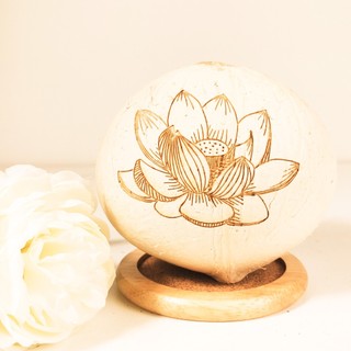 Dừa xiêm khắc hoa sen