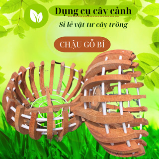  HÀNG DẦY NAN Tặng kèm Móc Treo + Túi Lưới  Chậu gỗ Hoa Lan Đông La hình bí trồng lan cây cảnh bền đẹp đa dạng kích cỡ 