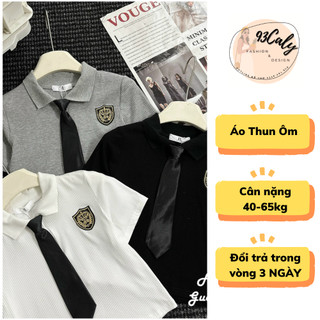 Áo Thun Nữ Polo Chất Tăm Co Giãn Thoải Mái Tặng Cavat Logo Thêu, áo cổ bẻ thời trang phong cách Hàn Quốc