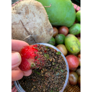 2 hũ Muối CƯA CHẲM (chẩm chéo) hỗn hợp muối mác khén hạt dổi