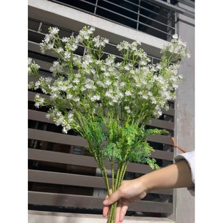 1 cành bi nở lá me trang trí decor...