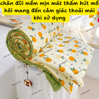 Chăn hè COTTON POLY trần bông 3 lớp (Được chọn mẫu)
