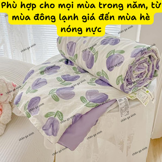 Chăn hè COTTON POLY trần bông 3 lớp (Được chọn mẫu)