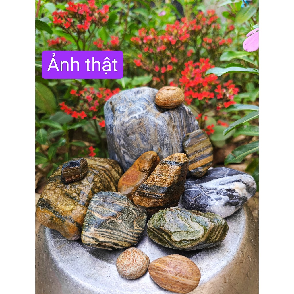 Đá Cuội Suối Vân  Đẹp (1KG)|Trang Trí Bể Thủy Sinh, Biotope, hồ bán can, layout, bò sát