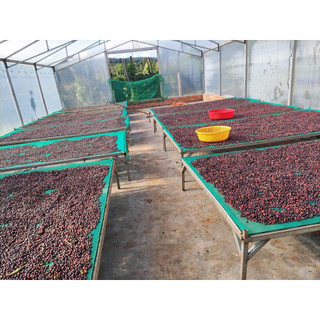 Cafe Nhấp Môi Gu Âu hạt