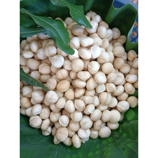 Mắc ca Macca nứt vỏ Đắk Nông