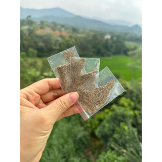 Hạt giống cỏ thảm (cỏ nhung nhật)  trồng thử