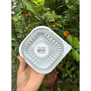100 Hộp nhựa HT12