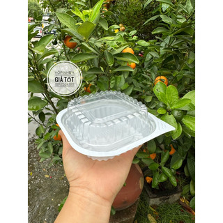 100 Hộp nhựa HT12