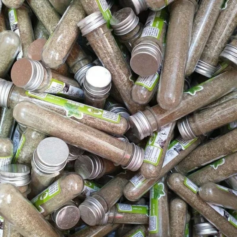 Ống cỏ mèo ăn liền Bạc Hà