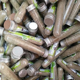 Ống cỏ mèo ăn liền Bạc Hà