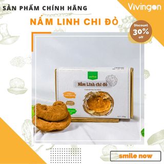 Nấm linh chi đỏ VIVINGON - Xích linh chi loại 1 chuẩn VietGAP, tai nấm to chắc nguyên bào tử, giàu hoạt chất - gói 100g,