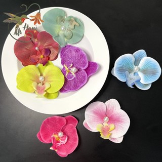 Kẹp Hoa Lan Hoa Sứ nhiều màu sắc hot trend