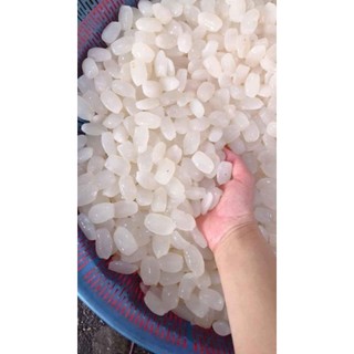 Hạt đác tươi rim chanh dây, mít, khóm, dâu tằm