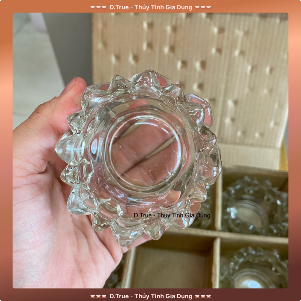 Hộp 6 Ly Sen 1  Thủy Tinh