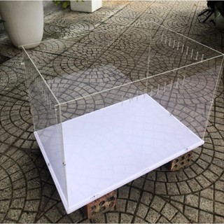 Hộp Mica Trong Nuôi Chuột Hamster Bò Sát Thú Cưng Cỡ Lớn