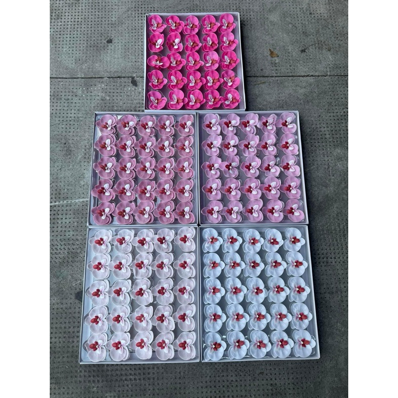 HOA LAN SÁP HỒ ĐIỆP( hộp 25 bông)
