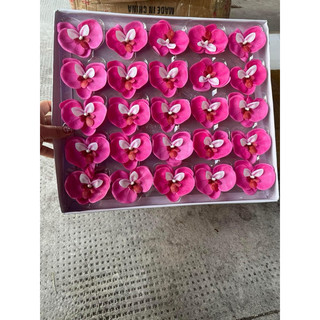 HOA LAN SÁP HỒ ĐIỆP( hộp 25 bông)