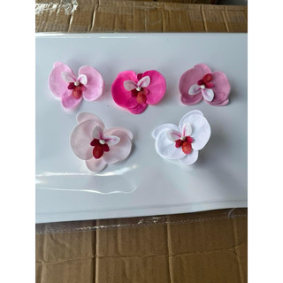 HOA LAN SÁP HỒ ĐIỆP( hộp 25 bông)