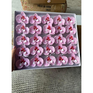HOA LAN SÁP HỒ ĐIỆP( hộp 25 bông)