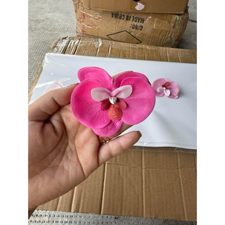 HOA LAN SÁP HỒ ĐIỆP( hộp 25 bông)