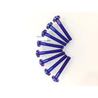 ỐC GR5 TITANIUM ĐẦU PROTI SIZE 6X40 VÀ 6X50
